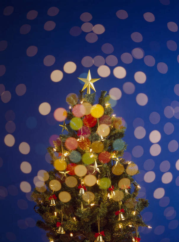 无人,竖图,室内,特写,白天,正面,植物,桌子,圣诞节,一棵,蓝色背景,节日,朦胧,模糊,庆祝,发光,布料,铃铛,星星,圣诞树,布纹,文化,桌布,树,树木,绿色,自然,餐巾,台布,庆典,星形,摄影,影棚,生长,成长,纪念,闪光,五角形,五角星,彩图,影棚拍摄,拍摄