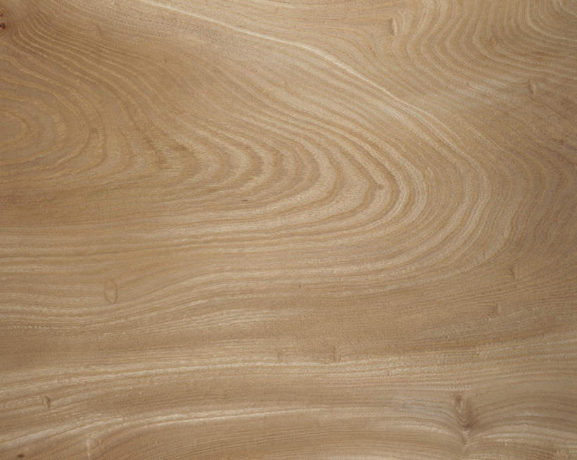 无人,横图,俯视,室内,特写,白天,植物,榆树,静物,纹路,木板,木材,纹理,树,树木,灰色,木料,肌理,彩图,高角度拍摄