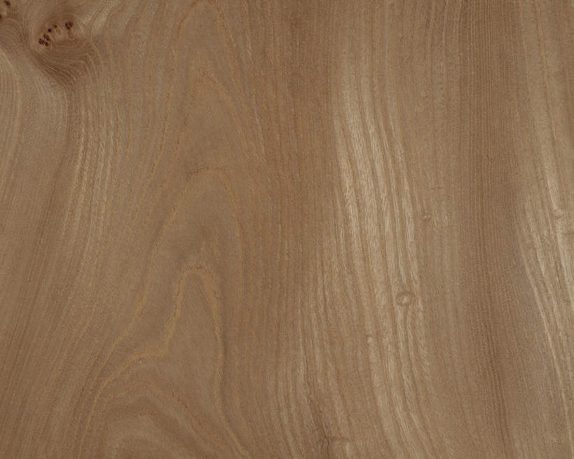 无人,横图,俯视,室内,特写,白天,植物,榆树,静物,纹路,木板,木材,纹理,树,树木,灰色,木料,肌理,彩图,高角度拍摄