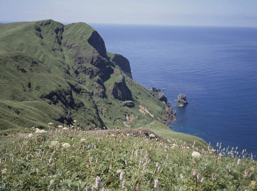 无人,横图,俯视,室外,白天,爱情,旅游,度假,草地,草坪,海浪,海洋,美景,山,山脉,植物,蒲公英,叶子,北海道,日本,亚洲,许多,盛开,景观,浪花,山峰,水平线,辽阔,绿叶,海平线,山峦,娱乐,草,花,花瓣,花朵,花卉,鲜花,蓝色,绿色,白色,蓝天,天空,自然,海水,群山,天,花蕊,享受,休闲,广阔,嫩叶,景色,放松,晴朗,一望无际,青葙,自然风光,海景,东亚,万里无云,日本国,北海道地方,北海道岛,鸡冠苋,昆仑草,萋蒿,野鸡冠,开朗,无边无际,一马平川,叶,叶片,大海,风浪,海,海水的波动,近岸浪,涌浪,晴空,晴空万里,蒲公草,尿床草,彩图,高角度拍摄,水天相接,水天一线