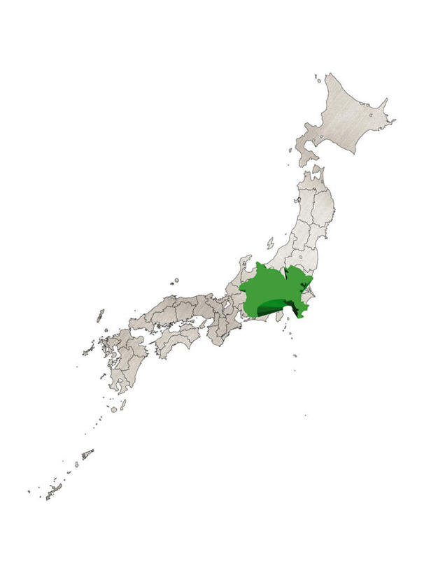 无人,竖图,俯视,室内,特写,白天,白色背景,桌面,道路,地图,神奈川,日本,亚洲,一张,信息,交通,神奈川县,方向,绿色,摄影,影棚,引导,指引,东亚,本州,关东地方,本州岛,日本国,彩图,高角度拍摄,影棚拍摄,拍摄,导航