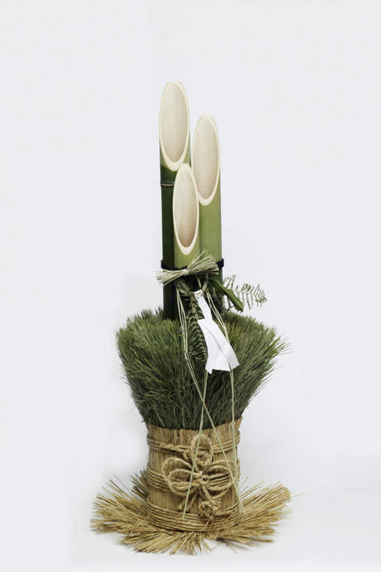 无人,竖图,俯视,室内,特写,白天,白色背景,植物,桌面,桌子,静物,阴影,装饰,反射,木制,影子,一个,绿色,自然,木制品,摄影,影棚,生长,单个,成长,华丽,修饰,点缀,门松,衬托,美观,雅致,雅观,长寿,彩图,高角度拍摄,影棚拍摄,拍摄