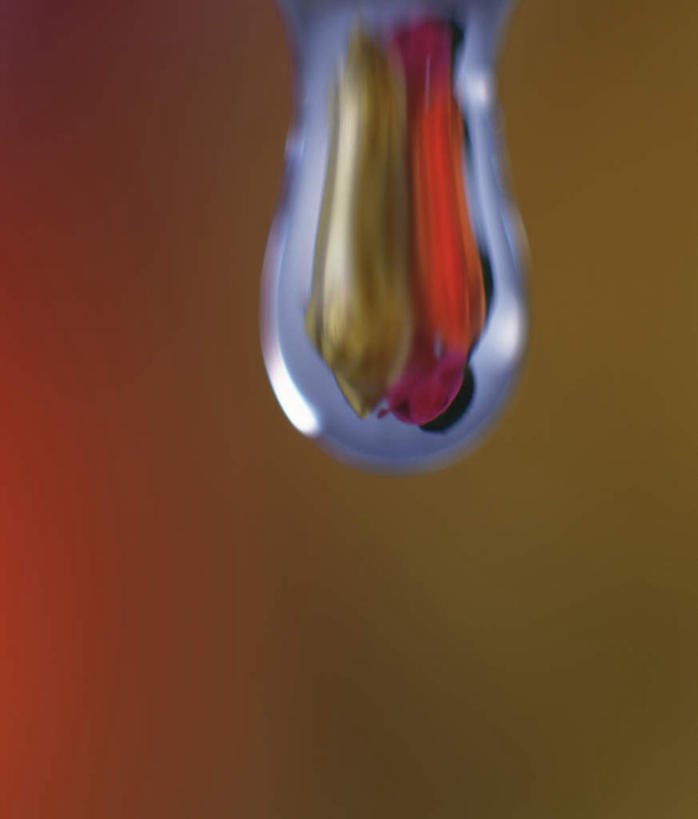 无人,竖图,室内,特写,白天,正面,水,露水,一滴,阴影,朦胧,模糊,透明,反射,液体,影子,水滴,滴落,水珠,露珠,摄影,影棚,生机,明亮,剔透,灵动,通明,彩图,影棚拍摄,拍摄,晶莹