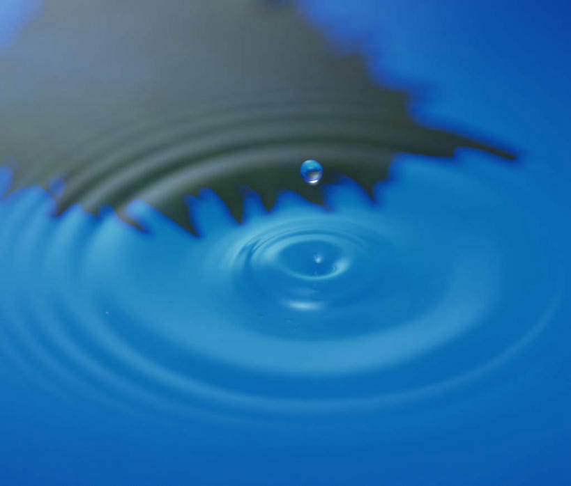 无人,横图,俯视,室外,白天,美景,水,叶子,一片,阴影,波纹,飞溅,溅,透明,光线,液体,影子,景观,水滴,绿叶,水珠,水纹,阳光,自然,嫩叶,景色,喷洒,自然风光,叶,叶片,彩图,高角度拍摄