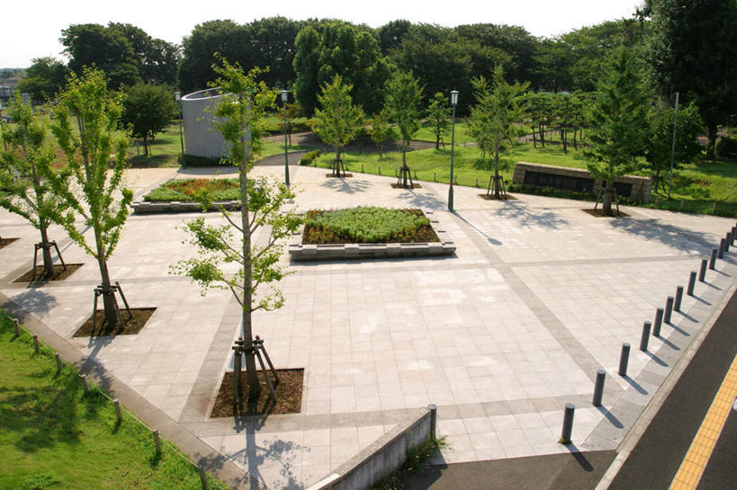 无人,横图,俯视,室外,白天,旅游,度假,草地,草坪,美景,植物,神奈川,日本,亚洲,阴影,光线,影子,景观,云,云朵,神奈川县,云彩,娱乐,草,树,树木,蓝色,绿色,白云,蓝天,天空,阳光,自然,天,享受,休闲,景色,放松,生长,晴朗,成长,自然风光,东亚,本州,关东地方,本州岛,日本国,藤泽,藤泽市,晴空,彩图,高角度拍摄