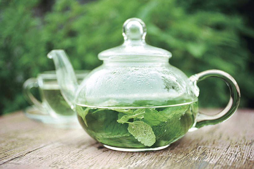 无人,横图,室外,特写,白天,正面,幸福,植物,餐桌,茶,桌子,杯子,朦胧,模糊,壶,茶叶,两杯,娱乐,玻璃制品,水壶,树,树木,绿色,自然,茶壶,水杯,享受,休闲,温馨,放松,乐趣,生长,成长,餐台,提神,舒适,醒脑,玻璃杯,彩图