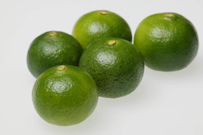 无人,横图,俯视,室内,特写,白天,白色背景,桌面,桌子,柑橘,水果,五个,许多,新鲜,木制,生食,食品,果实,食物,木制品,摄影,有机食品,绿色食品,影棚,酸橙,橘子,桔子,橙子,橙,彩图,高角度拍摄,影棚拍摄,拍摄