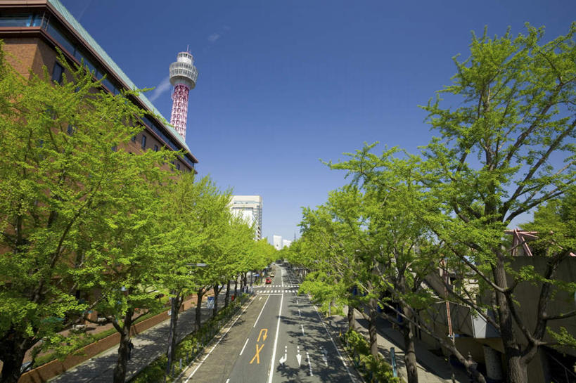 无人,家,横图,俯视,室外,白天,旅游,度假,植物,标志建筑,道路,地标,建筑,路,公路,神奈川,日本,亚洲,阴影,光线,影子,房屋,屋子,分界线,塔楼,停车线,交通,横滨,横滨市,神奈川县,娱乐,建设,楼房,住宅,树,树木,蓝色,绿色,蓝天,天空,阳光,自然,天,享受,休闲,旅游胜地,放松,生长,成长,车行道,车行道分界线,标线,东亚,车行线,本州,首府,关东地方,本州岛,日本国,马路,彩图,高角度拍摄,房子