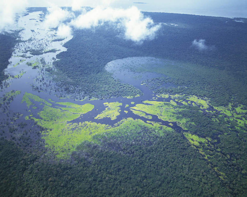 无人,横图,俯视,航拍,室外,白天,旅游,度假,美景,森林,山,山脉,树林,植物,雾,巴西,朦胧,模糊,景观,山峰,山峦,娱乐,树,树木,绿色,自然,群山,享受,休闲,景色,南美,放松,生长,成长,迷雾,南美洲,拉丁美洲,鸟瞰,自然风光,亚马逊,美洲,巴西联邦共和国,亚美利加洲,南亚美利加洲,亚马孙,亚马孙州,亚马逊州,大雾,彩图,高角度拍摄