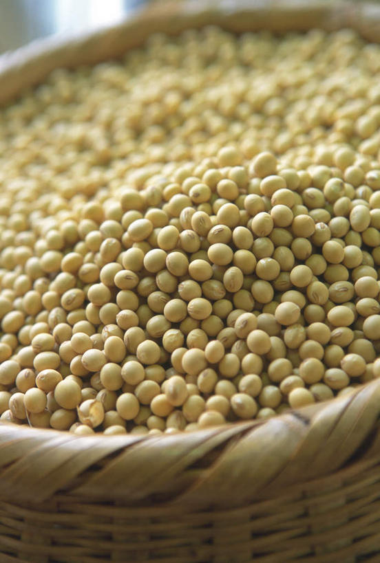 无人,竖图,俯视,室内,特写,白天,烹饪,植物,豆,大豆,蔬菜,一堆,堆叠,堆积,新鲜,箩筐,豆类,豆子,毛豆,日本料理,料理,食品,菜肴,美食,食物,黄色,日式料理,日式,摄影,佳肴,有机食品,绿色食品,影棚,堆,豆科,枝豆,黄豆,彩图,高角度拍摄,影棚拍摄,拍摄