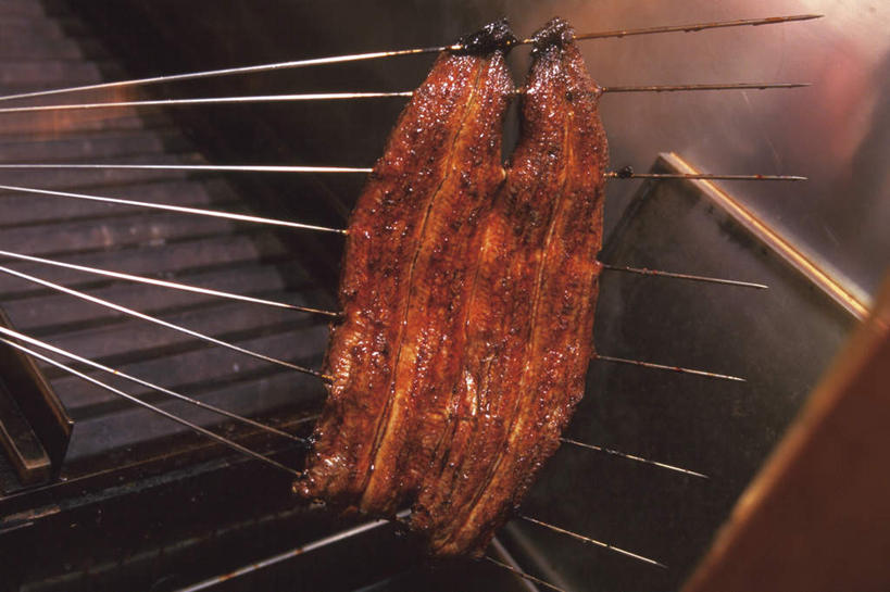 海鲜,鳗鱼,无人,横图,俯视,室内,特写,白天,烹饪,鳗鲡,日本料理,料理,食品,水产,菜肴,美食,竹签,海洋生物,食物,日式料理,日式,摄影,佳肴,影棚,水生动物,海产品,水生物,河鳗,海底动物,白鳗,青鳝,风馒,白鳝,彩图,高角度拍摄,影棚拍摄,拍摄