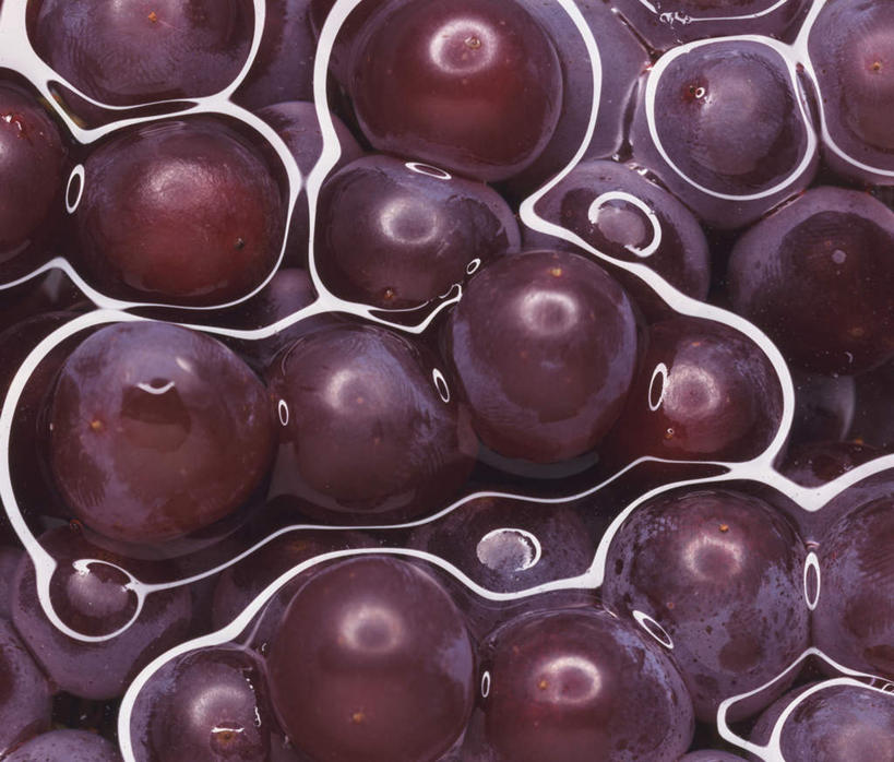 无人,横图,俯视,室内,特写,白天,水,葡萄,水果,许多,新鲜,白线,液体,水滴,生食,食品,果实,食物,紫色,有机食品,绿色食品,山葫芦,蒲桃,草龙珠,彩图,高角度拍摄