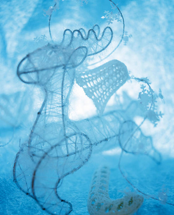 无人,竖图,室内,特写,白天,正面,幸福,哺乳动物,鹿,野生动物,圣诞节,节日,庆祝,装饰,文化,一个,蓝色,动物,庆典,可爱,摄影,活泼,影棚,单个,纪念,华丽,修饰,吉祥,点缀,衬托,美观,雅致,雅观,进取,角鹿,驯鹿,彩图,影棚拍摄,拍摄