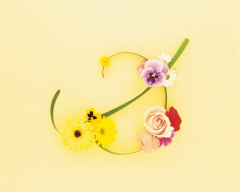 无人,横图,俯视,室内,特写,白天,白色背景,爱情,幸福,纯洁,热情,美景,植物,玫瑰,紫罗兰,三朵,盛开,景观,玫瑰花,浪漫,清凉,花,花瓣,花朵,花卉,鲜花,粉色,紫色,白色,自然,夏天,花蕊,温暖,温馨,景色,恩爱,摄影,影棚,和睦,自然风光,感动,永恒,尊敬,质朴,美德,天真,刺玫花,徘徊花,草紫罗兰,草桂花,彩图,高角度拍摄,影棚拍摄,拍摄,融洽