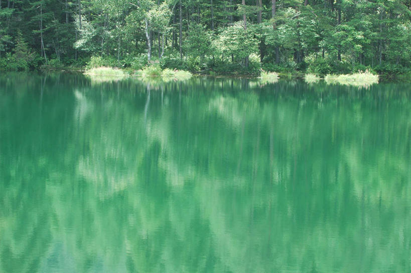 无人,横图,室外,白天,正面,旅游,度假,湖,湖泊,美景,森林,树林,水,植物,长野县,日本,亚洲,阴影,朦胧,模糊,反射,影子,湖面,景观,水流,水面,娱乐,树,树木,绿色,自然,湖水,享受,休闲,景色,放松,生长,成长,自然风光,东亚,本州,本州岛,日本国,中部地方,长野,千野,彩图