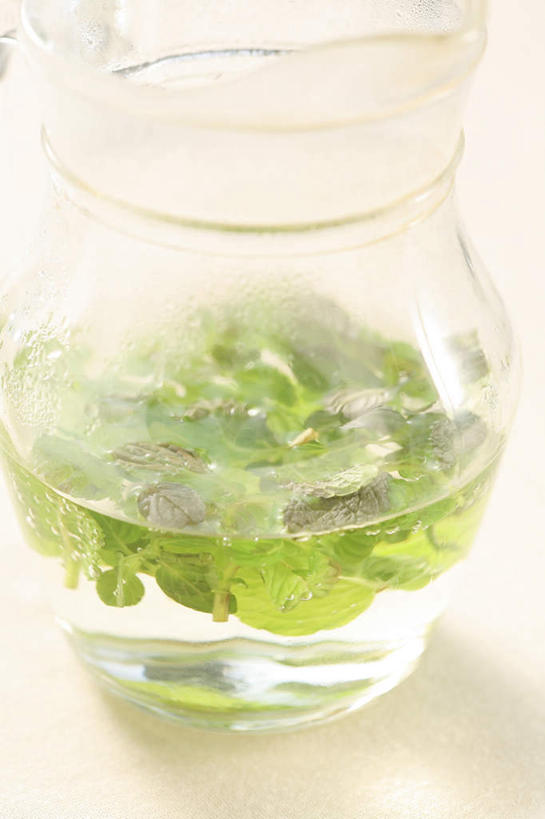 无人,竖图,俯视,室内,白天,白色背景,茶,杯子,影子,茶叶,薄荷,银丹草,玻璃制品,一个,水杯,摄影,影棚,单个,斑叶凤梨薄荷,苹果薄荷,夜息香,玻璃杯,彩图,高角度拍摄,影棚拍摄,拍摄