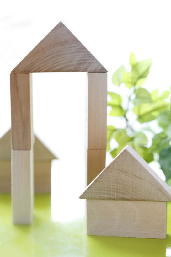 无人,竖图,室内,特写,白天,白色背景,正面,游戏,智慧,桌面,桌子,静物,玩具,叶子,木制,绿叶,玩,娱乐,木制品,休闲,嫩叶,积木,益智,摄影,影棚,活动,思维,发泄,消遣,智力,想象,宣泄,叶,叶片,玩耍,嬉戏,彩图,影棚拍摄,拍摄