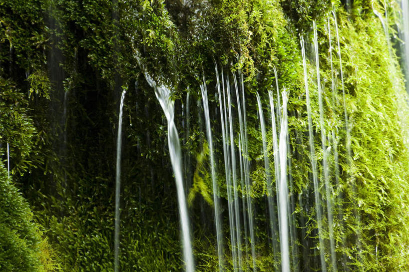 无人,横图,室外,白天,正面,旅游,度假,美景,水,植物,长野县,日本,亚洲,液体,景观,水滴,水流,苔藓,娱乐,绿色,自然,享受,休闲,景色,放松,流动,自然风光,东亚,本州,本州岛,日本国,中部地方,岐阜,岐阜县,长野,乘鞍高原,彩图