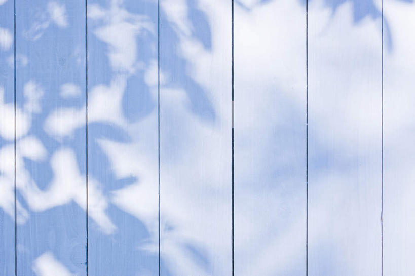 无人,栏杆,横图,室外,特写,白天,正面,静物,阴影,光线,木板,影子,栅栏,篱笆,围栏,照射,护栏,树叶,白色,阳光,彩图