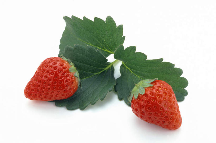 无人,横图,俯视,室内,特写,白天,白色背景,草莓,水果,叶子,新鲜,生食,食品,果实,绿叶,食物,两个,红色,嫩叶,摄影,有机食品,绿色食品,影棚,叶,叶片,洋莓,水果皇后,红莓,地莓,彩图,高角度拍摄,影棚拍摄,拍摄
