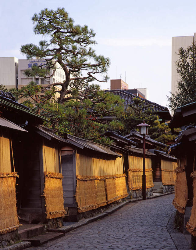 无人,家,木屋,竖图,室外,白天,正面,度假,美景,植物,城市风光,城市,道路,路,路灯,公路,照明,日本,亚洲,一棵,一排,整齐,景观,灯光,交通,娱乐,住宅,灯,树,树木,排列,蓝色,绿色,蓝天,天空,自然,天,享受,休闲,景色,放松,生长,晴朗,成长,照亮,照明设备,队列,东亚,本州,万里无云,本州岛,日本国,金沢,金沢市,石川,石川县,中部地方,县厅,晴空,晴空万里,马路,彩图,茅舍,茅屋,棚屋,小木屋,小屋