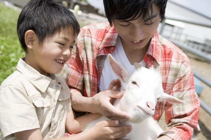 东方人,儿童,两个人,家庭,父亲,儿子,栏杆,站,笑,摸,微笑,露齿笑,横图,室外,白天,正面,纯洁,草地,草坪,植物,羊,亚洲,一头,抚摸,阴影,服装,朦胧,模糊,光线,影子,围栏,注视,休闲装,黄种人,护栏,草,小孩,衣服,绿色,阳光,动物,观察,看,站着,休闲,温暖,温馨,父子,一家人,休闲服,家畜,父爱,可爱,童年,童趣,服饰,牲畜,观看,和睦,察看,关注,童真,烂漫,无邪,天真,男孩,男人,男性,年轻男性,亚洲人,孩子,年轻人,绵羊,触摸,接触,站立,半身,彩图,融洽,男生