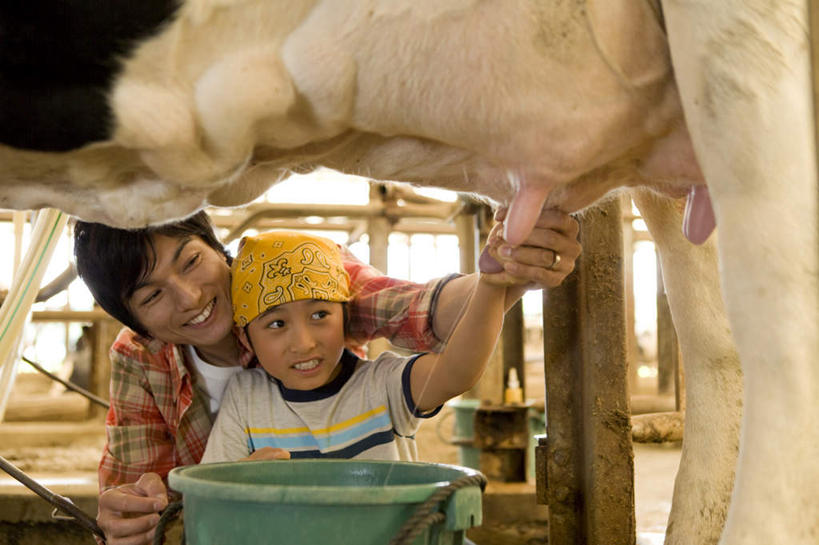 牛奶,东方人,儿童,胸,乳头,家庭,父亲,儿子,蹲,笑,微笑,露齿笑,横图,室内,白天,正面,纯洁,牛,亚洲,握,飞溅,服装,朦胧,模糊,溅,桶,液体,塑料,水滴,饮品,营养,拿,拿着,注视,休闲装,黄种人,水珠,饮料,小孩,衣服,动物,容器,塑料制品,观察,看,休闲,温暖,温馨,父子,一家人,休闲服,家畜,父爱,可爱,童年,童趣,掐,握着,服饰,牲畜,观看,储藏,塑料桶,和睦,察看,乳制品,奶,储存,关注,喷洒,童真,烂漫,无邪,挤奶,安神,奶头,天真,男孩,男人,男性,年轻男性,亚洲人,孩子,年轻人,胸部,蹲着,半身,彩图,融洽,贮存,男生