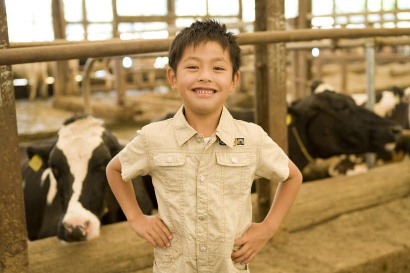 东方人,儿童,一个人,站,笑,微笑,露齿笑,横图,室内,白天,正面,纯洁,牛,亚洲,仅一个男性,仅一个人,服装,朦胧,模糊,注视,休闲装,黄种人,手叉腰,小孩,衣服,动物,叉腰,观察,看,站着,仅一个小孩,休闲,休闲服,家畜,可爱,童年,童趣,服饰,牲畜,观看,察看,双手叉腰,关注,童真,烂漫,无邪,牛棚,天真,男孩,男人,男性,亚洲人,孩子,奶牛,站立,半身,彩图,男生