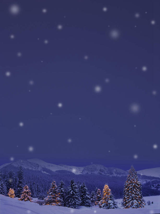 无人,竖图,室内,特写,夜晚,仰视,数码,科技,山,山脉,树林,星空,雪,植物,大雪,夜景,阴影,网络,积雪,山峰,雪景,冬季,冬天,山峦,高光,几何,计算机图形,合成,树,树木,绿色,自然,群山,寒冷,生长,成长,电脑合成图,数码合成图,写实,具体,具象,严寒,星夜,夜空,彩图,低角度拍摄