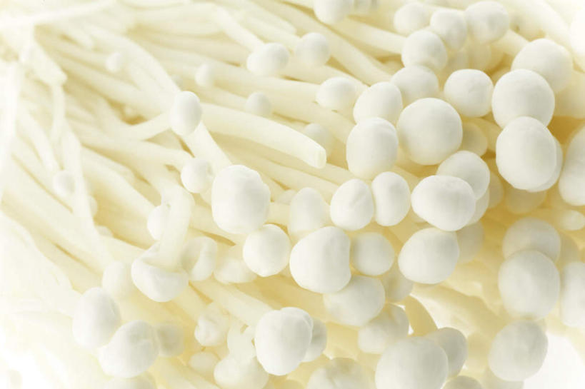 无人,横图,俯视,室内,特写,白天,白色背景,餐桌,桌子,一堆,许多,堆叠,堆积,金针菇,菌菇,菌类,食用菌,摄影,影棚,餐台,堆,构菌,金菇,毛柄金钱菌,银针菇,智力菇,彩图,高角度拍摄,影棚拍摄,拍摄