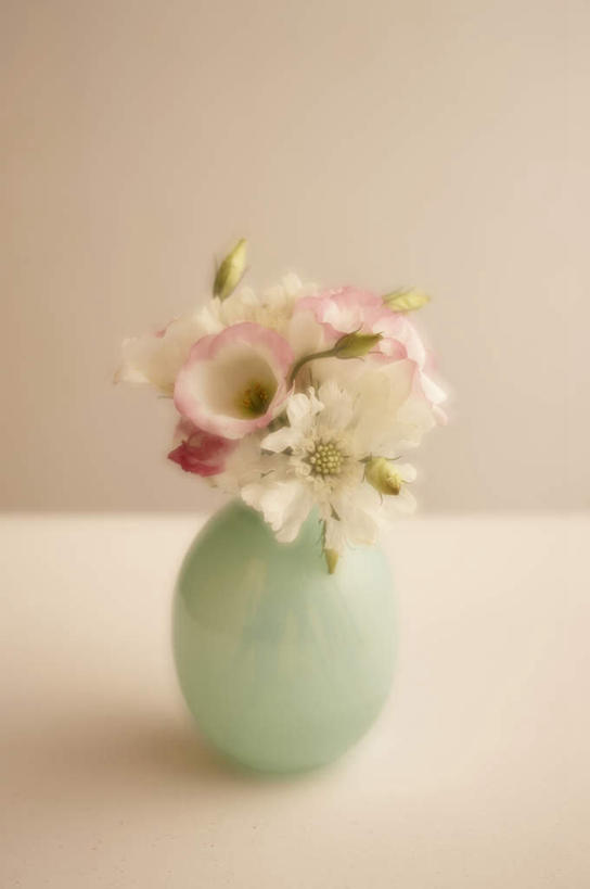 无人,竖图,俯视,室内,特写,白天,白色背景,餐桌,桌子,花瓶,朦胧,模糊,盛开,陶瓷,陶瓷制品,花蕾,花,花瓣,花朵,鲜花,粉色,白色,瓶子,花苞,花蕊,摄影,影棚,餐台,桔梗花,土耳其桔梗,僧冠帽,草原龙胆,感动,六角荷,永恒,梗草,洋桔梗,彩图,高角度拍摄,影棚拍摄,拍摄