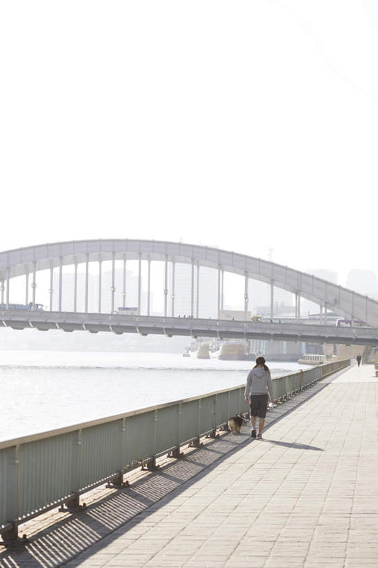 东方人,一个人,栏杆,走,竖图,室外,白天,河流,石头,水,宠物,狗,东京,日本,亚洲,仅一个年轻女性,仅一个女性,仅一个人,阴影,光线,石子,影子,河水,水流,天桥,围栏,桥,中央区,黄种人,护栏,背面,阳光,动物,可爱,人行桥,东亚,忠诚,本州,关东地方,本州岛,日本国,东京都,年轻女性,女人,女性,亚洲人,石块,犬,步行,散步,走路,彩图,全身