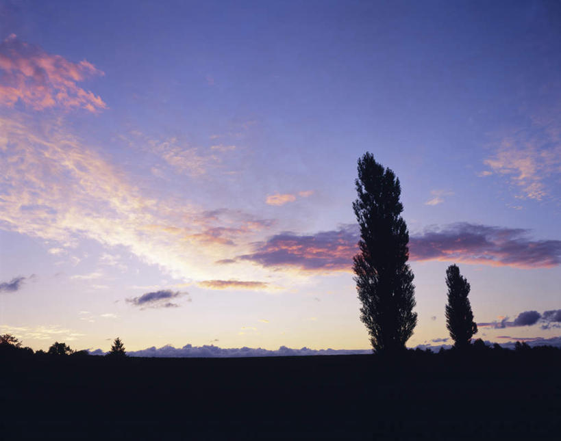 无人,横图,室外,白天,仰视,旅游,度假,美景,日落,植物,北海道,日本,亚洲,景观,晚霞,霞光,落日,背光,娱乐,树,树木,绿色,自然,黄昏,享受,休闲,景色,彩霞,放松,生长,成长,自然风光,逆光,东亚,日本国,北海道地方,北海道岛,夕照,夕阳,彩图,低角度拍摄,斜阳