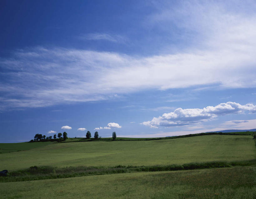 无人,横图,室外,白天,仰视,旅游,度假,草地,草坪,美景,树林,植物,北海道,日本,亚洲,景观,云,云朵,云彩,娱乐,草,树,树木,蓝色,绿色,白云,蓝天,天空,自然,天,享受,休闲,景色,放松,生长,晴朗,成长,自然风光,东亚,日本国,北海道地方,北海道岛,美瑛町,美瑛,晴空,彩图,低角度拍摄