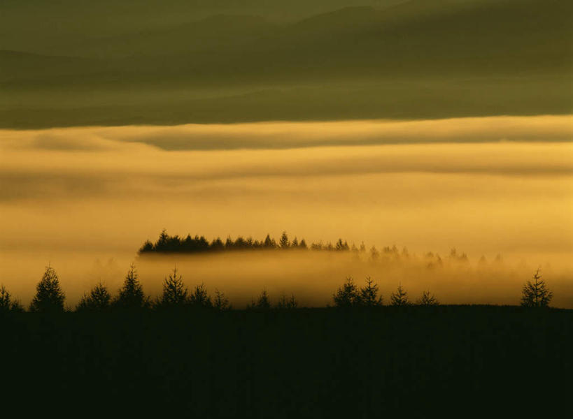 无人,横图,俯视,航拍,室外,白天,旅游,度假,草地,草坪,日出,美景,树林,太阳,植物,雾,北海道,日本,亚洲,朦胧,模糊,景观,朝霞,晨曦,黎明,娱乐,草,树,树木,绿色,阳光,自然,享受,休闲,景色,放松,生长,成长,迷雾,鸟瞰,自然风光,东亚,日本国,北海道地方,北海道岛,上富良野町,朝阳,大雾,彩图,高角度拍摄,破晓,上川支厅