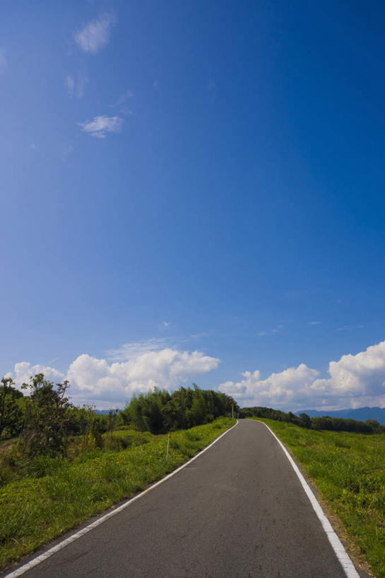 无人,竖图,室外,白天,正面,旅游,度假,草地,草坪,美景,植物,道路,路,公路,日本,亚洲,阴影,光线,影子,景观,云,云朵,交通,云彩,娱乐,草,蓝色,绿色,白云,蓝天,天空,阳光,自然,天,享受,休闲,景色,放松,晴朗,自然风光,东亚,本州,本州岛,日本国,近畿地方,近畿,滋贺,滋贺县,晴空,马路,彩图