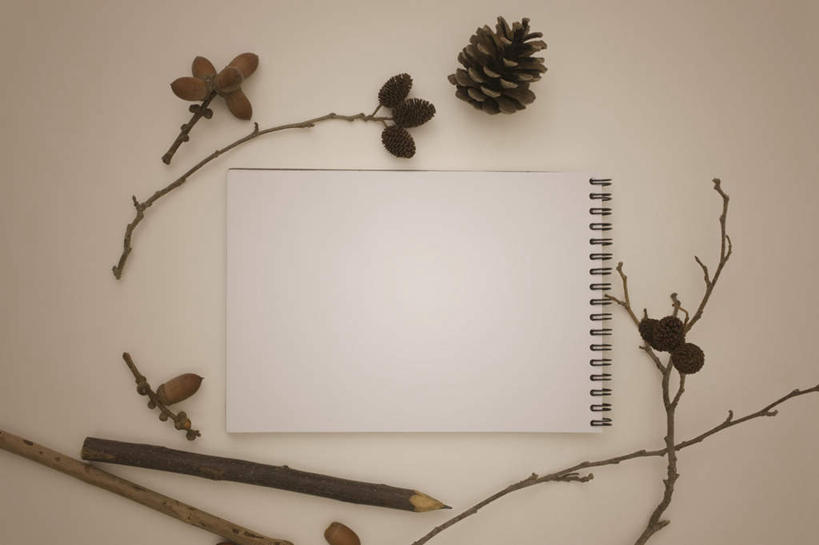 无人,横图,俯视,室内,特写,白天,白色背景,朦胧,模糊,笔,坚果,办公用品,记事本,文具,本子,笔记本,铅笔,学习用品,干果,摄影,影棚,文具用品,两支,橡果,橡树果,橡栗,橡实,橡树子,橡子,彩图,高角度拍摄,影棚拍摄,拍摄