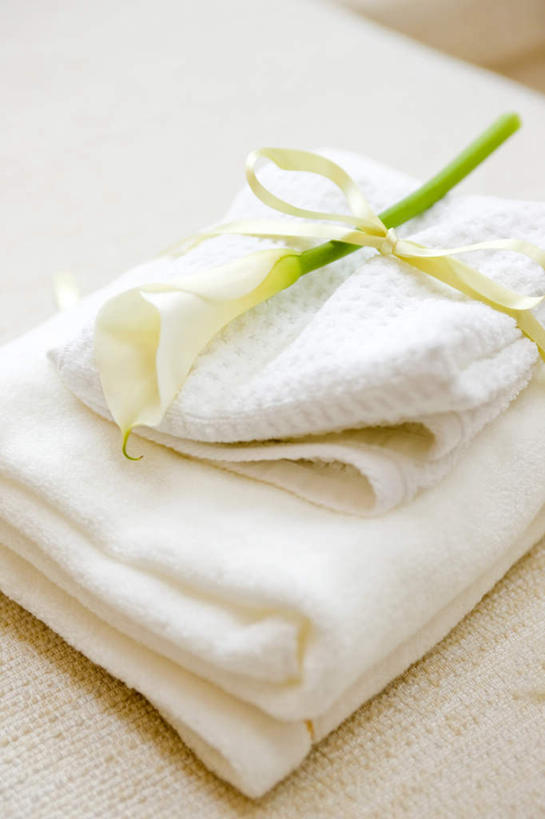 无人,客厅,竖图,俯视,室内,特写,白天,纯洁,靠垫,沙发,马蹄莲,一条,堆叠,朦胧,模糊,盛开,毛毯,靠枕,花蕾,花,花瓣,花朵,鲜花,虔诚,一个,黄色,白色,垫子,毛巾,枕头,花苞,花蕊,单个,希望,优雅,堆,起居室,高贵,布艺沙发,纯净,马蹄兰,博爱,永恒,尊贵,高洁,慈菇花,圣洁,水芋,水芋马,彩图,高角度拍摄