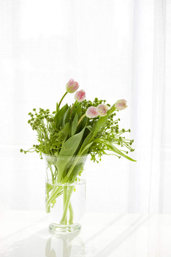 无人,竖图,俯视,室内,特写,白天,爱情,智慧,餐桌,窗户,桌子,郁金香,花瓶,五朵,许多,阴影,朦胧,模糊,艺术,盛开,光线,影子,祝福,花蕾,文化,玻璃窗,玻璃制品,花,花瓣,花朵,鲜花,粉色,阳光,插花,玻璃瓶,瓶子,花苞,花蕊,餐台,插花艺术,创造,表白,创作,荣誉,想象,永恒,郁香,洋荷花,草麝香,彩图,高角度拍摄