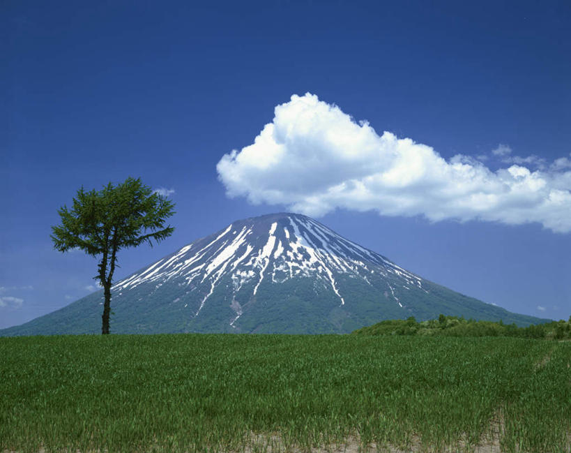 无人,横图,室外,白天,正面,旅游,度假,草地,草坪,美景,山,山脉,雪,植物,大雪,北海道,日本,亚洲,一棵,朦胧,模糊,积雪,景观,山峰,雪景,云,云朵,冬季,冬天,山峦,云彩,娱乐,草,树,树木,蓝色,绿色,白云,蓝天,天空,自然,群山,天,享受,休闲,景色,放松,寒冷,生长,晴朗,成长,自然风光,东亚,日本国,北海道地方,北海道岛,严寒,虻田郡,羊蹄山,晴空,彩图