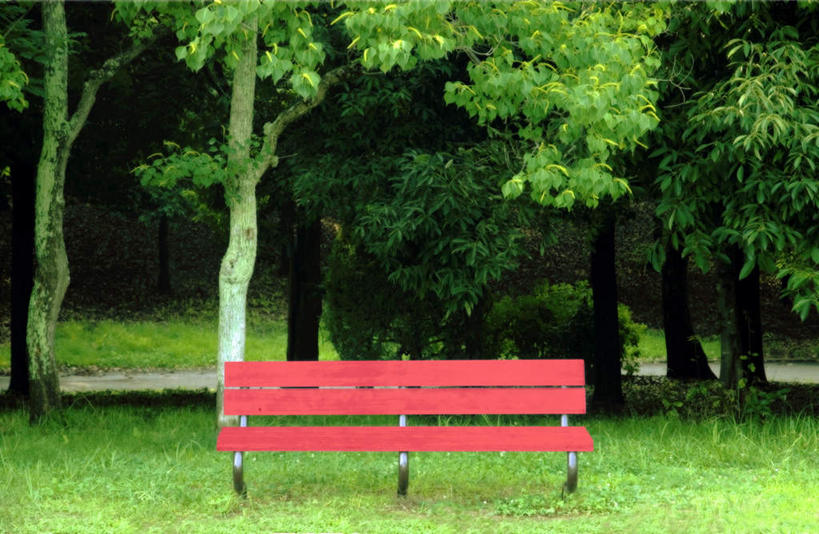 无人,横图,室外,白天,正面,旅游,度假,草地,草坪,美景,森林,树林,植物,椅子,日本,亚洲,朦胧,模糊,长椅,木椅,景观,娱乐,草,树,树木,一个,绿色,自然,享受,休闲,景色,放松,大阪,生长,单个,成长,自然风光,东亚,本州,大阪府,本州岛,日本国,近畿地方,近畿,彩图