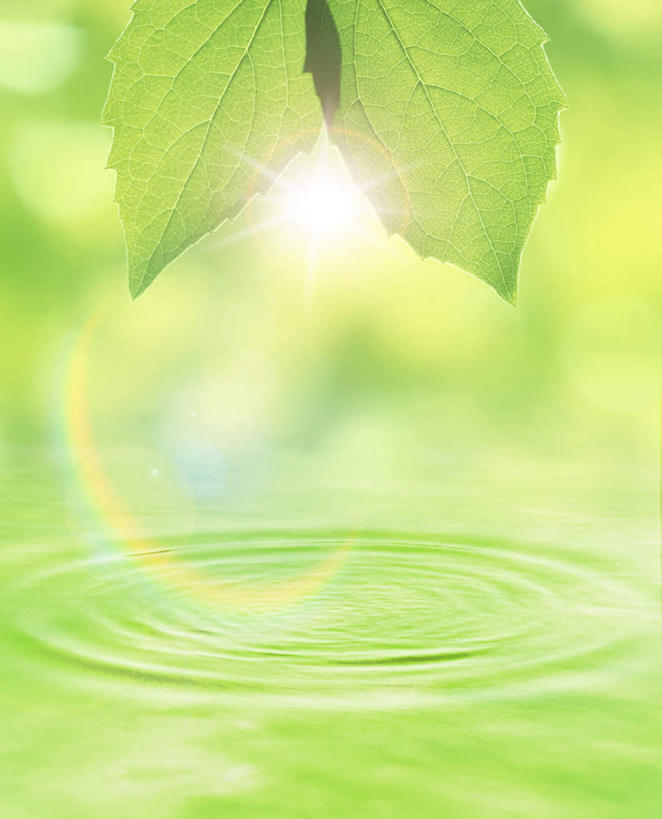 无人,竖图,室外,特写,白天,正面,水,植物,叶子,阴影,波纹,朦胧,梦幻,模糊,发光,光束,光线,纹理,液体,影子,水滴,绿叶,光亮,涟漪,绿色,水纹,阳光,波浪,嫩叶,未来,发亮,憧憬,肌理,水晕,炫光,叶,叶片,叶脉,彩图