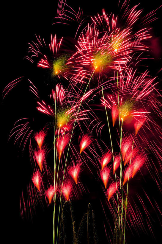 无人,竖图,彩色,室外,夜晚,仰视,旅游,度假,爆炸,美景,烟火,东京,日本,亚洲,黑色背景,节日,漂浮,庆祝,溅,景观,美丽,文化,娱乐,黄色,红色,自然,焰火,庆典,享受,休闲,景色,放松,纪念,自然风光,掉落,礼花,东亚,本州,关东地方,本州岛,日本国,东京都,花炮,礼花炮,烟花,彩图,低角度拍摄