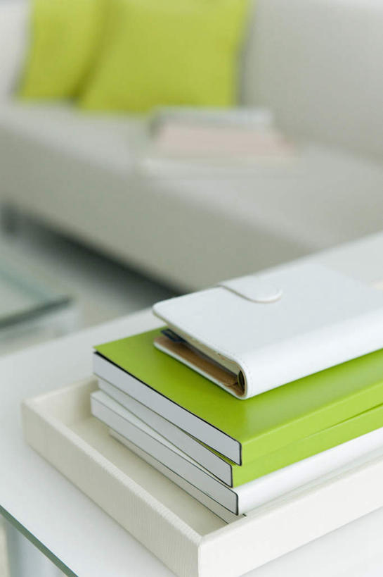 无人,客厅,竖图,俯视,室内,特写,白天,靠垫,沙发,桌子,书籍,一堆,许多,阴影,堆叠,堆积,朦胧,模糊,光线,瓷砖,地砖,影子,办公桌,记事本,靠枕,地面,两个,绿色,阳光,本子,笔记本,垫子,枕头,堆,起居室,布艺沙发,书,图书,彩图,高角度拍摄