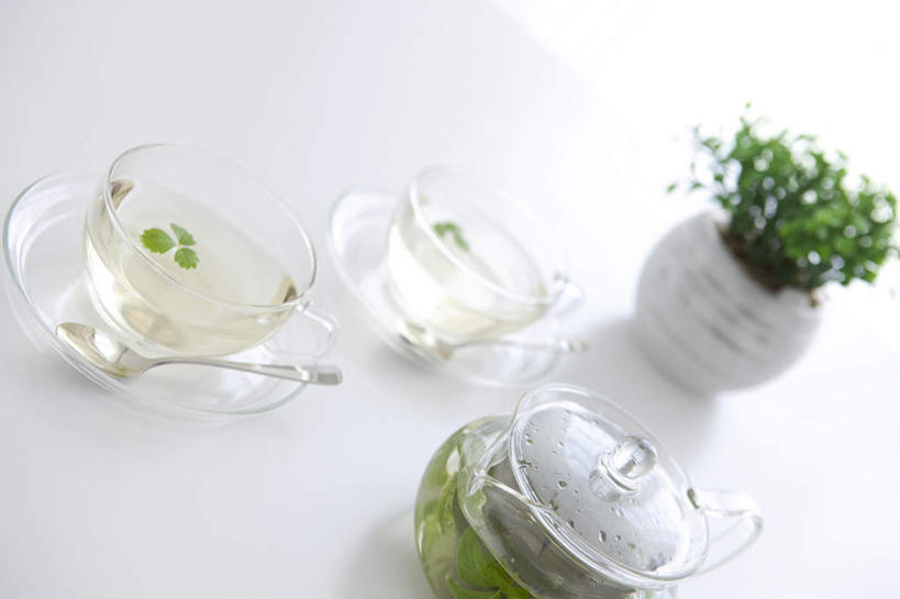 无人,横图,俯视,室内,特写,白天,幸福,植物,餐桌,茶,桌子,静物,杯子,餐具,碟子,盘,盆栽,勺子,茶叶,盆景,两杯,娱乐,玻璃制品,绿色,自然,盘子,水杯,调羹,碟,汤匙,享受,休闲,温馨,放松,乐趣,生长,成长,餐台,提神,舒适,醒脑,玻璃杯,彩图,高角度拍摄