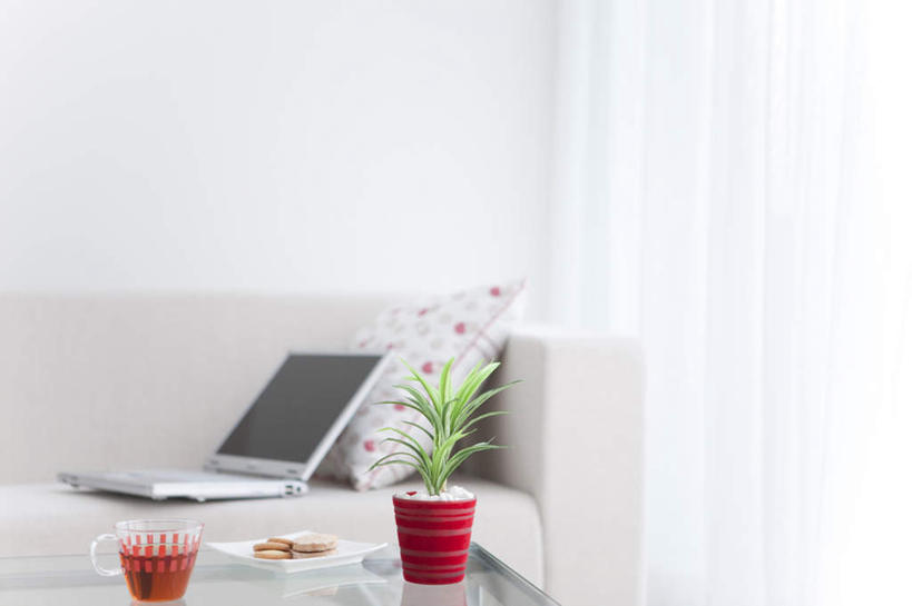 点心,无人,客厅,横图,室内,特写,白天,正面,电脑,笔记本电脑,植物,窗帘,靠垫,沙发,静物,餐具,网络,碟子,盘,盆栽,斑点,食品,靠枕,盆景,通讯设备,食物,红色,绿色,自然,盘子,垫子,碟,枕头,饼干,零食,生长,成长,一盆,无线,起居室,通信设备,无线网络,无线上网,便携式电脑,手提电脑,彩图,皮沙发