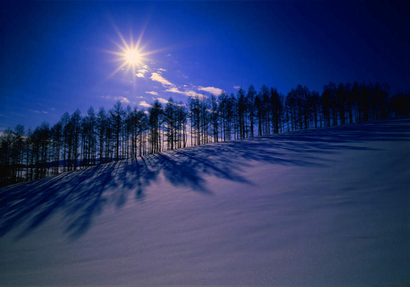 无人,横图,室外,白天,仰视,旅游,度假,美景,森林,树林,太阳,雪,植物,大雪,一排,阴影,梦幻,整齐,发光,光束,光线,影子,积雪,景观,雪景,冬季,冬天,光亮,光芒,娱乐,树,树木,排列,绿色,阳光,自然,享受,休闲,景色,放松,寒冷,生长,成长,未来,队列,发亮,自然风光,憧憬,严寒,彩图,低角度拍摄