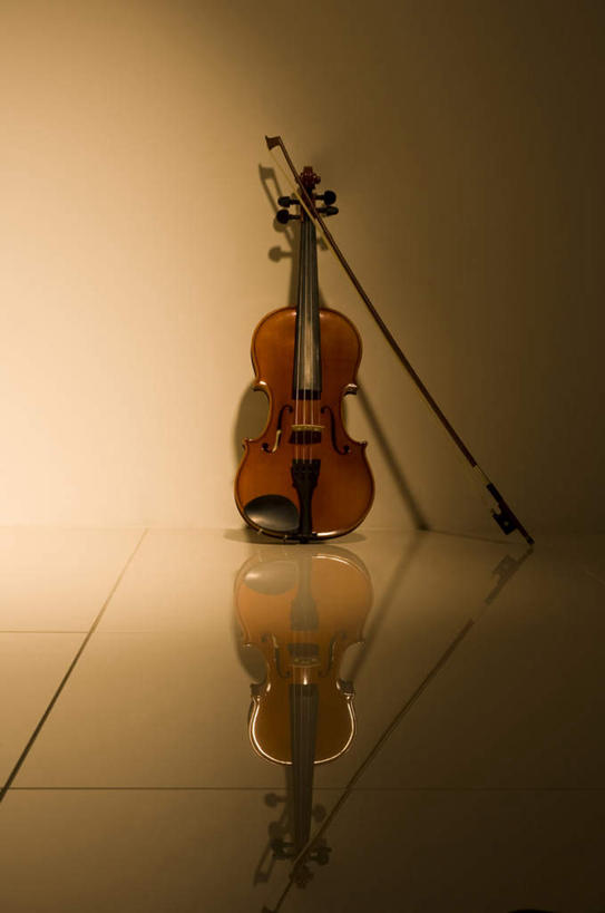 无人,竖图,室内,特写,白天,正面,静物,一本,阴影,朦胧,模糊,光线,影子,灯光,乐器,弦乐器,小提琴,摄影,影棚,弓拉弦乐器,弓拉弦鸣乐器,彩图,影棚拍摄,拍摄