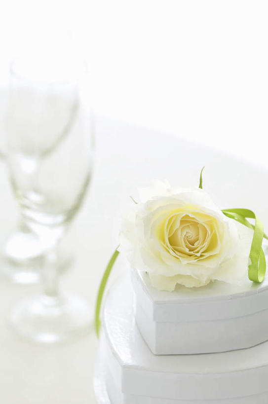 点心,无人,竖图,俯视,室内,特写,白天,白色背景,爱情,下午茶,幸福,纯洁,热情,玫瑰,爱心,盛开,纸盒,食品,玫瑰花,浪漫,花蕾,盒子,花,花瓣,花朵,鲜花,食物,糕点,一朵,白色,包装盒,花苞,花蕊,温暖,温馨,心形,恩爱,摄影,影棚,和睦,感动,尊敬,天真,刺玫花,徘徊花,心型,彩图,高角度拍摄,影棚拍摄,拍摄,融洽,蛋糕