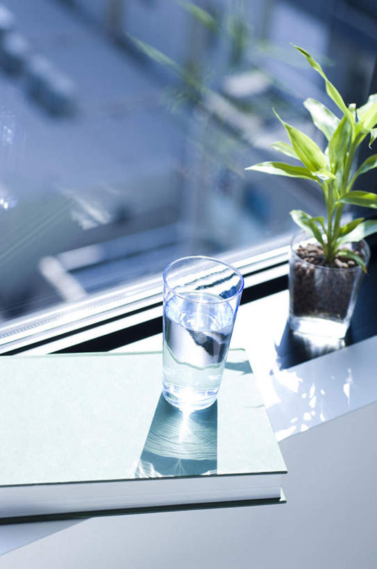 无人,竖图,俯视,室内,特写,白天,植物,窗户,杯子,书籍,阴影,光线,盆栽,影子,盆景,一杯,玻璃窗,玻璃制品,绿色,阳光,自然,水杯,生长,成长,一盆,玻璃杯,书,图书,彩图,高角度拍摄